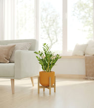 Load image into Gallery viewer, Sunset Orange stand:bamboo
