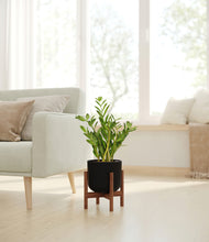 Load image into Gallery viewer, Stone Black stand:walnut