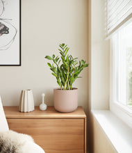 Load image into Gallery viewer, Sandy Pink