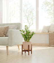 Load image into Gallery viewer, Sandy Pink stand:walnut