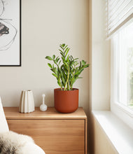 Load image into Gallery viewer, Earth Red