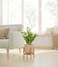 Load image into Gallery viewer, Sandy Pink stand:bamboo