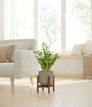 Load image into Gallery viewer, Sage Green stand:walnut