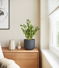 Load image into Gallery viewer, Iron Gray