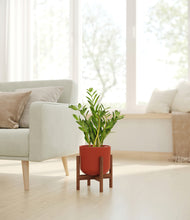 Load image into Gallery viewer, Earth Red stand:walnut