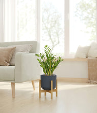 Load image into Gallery viewer, Iron Gray stand:bamboo