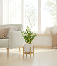 Load image into Gallery viewer, Natural Bamboo stand:bamboo