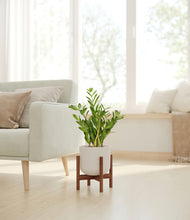 Load image into Gallery viewer, Natural Bamboo stand:walnut