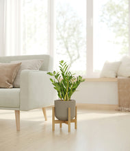 Load image into Gallery viewer, Sage Green stand:bamboo