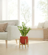 Load image into Gallery viewer, Earth Red stand:bamboo