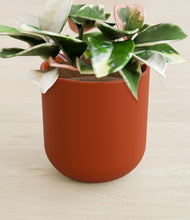 Load image into Gallery viewer, Earth Red stand:all