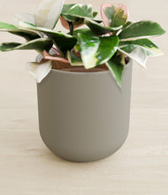 Load image into Gallery viewer, Sage Green stand:all