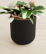 Load image into Gallery viewer, Stone Black stand:all