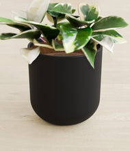 Load image into Gallery viewer, Stone Black stand:all