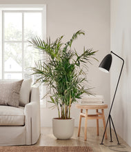 Load image into Gallery viewer, Natural Bamboo