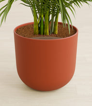Load image into Gallery viewer, Earth Red stand:all