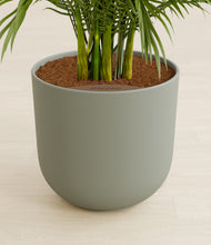 Load image into Gallery viewer, Sage Green stand:all