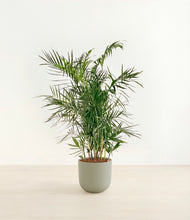 Load image into Gallery viewer, Sage Green*****Profile