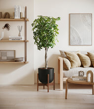 Load image into Gallery viewer, Stone Black stand:walnut