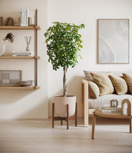 Load image into Gallery viewer, Sandy Pink stand:walnut