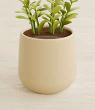 Load image into Gallery viewer, Almond Green stand:all