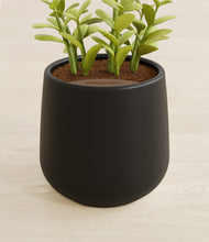 Load image into Gallery viewer, Black stand:all