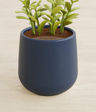 Load image into Gallery viewer, Deep Navy stand:all