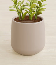 Load image into Gallery viewer, Eternal Gray stand:all