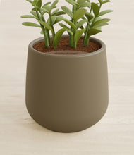 Load image into Gallery viewer, Olive stand:all