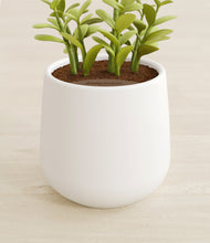 Load image into Gallery viewer, White stand:all