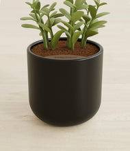 Load image into Gallery viewer, Stone Black stand:all