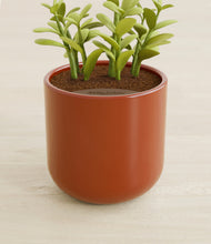 Load image into Gallery viewer, Glossy Red stand:all