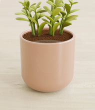 Load image into Gallery viewer, Glossy Pink stand:all