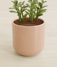 Load image into Gallery viewer, Glossy Pink stand:all