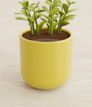 Load image into Gallery viewer, Key Lime Yellow stand:all