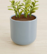 Load image into Gallery viewer, Misty Blue stand:all