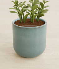 Load image into Gallery viewer, Reactive Aqua stand:all