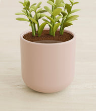 Load image into Gallery viewer, Sandy Pink stand:all