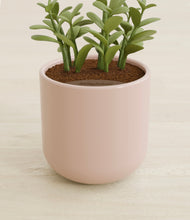 Load image into Gallery viewer, Sandy Pink stand:all