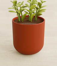 Load image into Gallery viewer, Earth Red stand:all