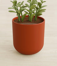 Load image into Gallery viewer, Earth Red stand:all