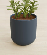 Load image into Gallery viewer, Iron Gray stand:all
