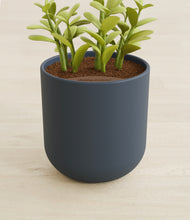 Load image into Gallery viewer, Iron Gray stand:all