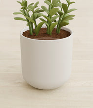 Load image into Gallery viewer, Natural Bamboo stand:all