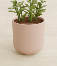 Load image into Gallery viewer, Sandy Pink stand:all