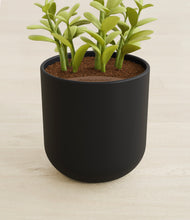 Load image into Gallery viewer, Stone Black stand:all