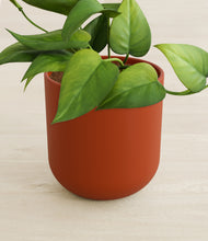 Load image into Gallery viewer, Earth Red stand:all