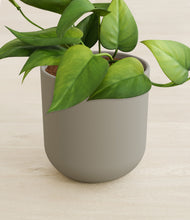 Load image into Gallery viewer, Sage Green stand:all