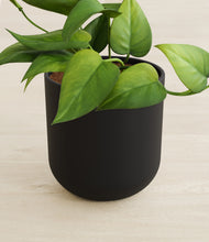 Load image into Gallery viewer, Stone Black stand:all