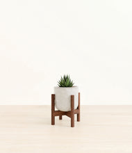 Load image into Gallery viewer, Hammered Ivory stand:walnut